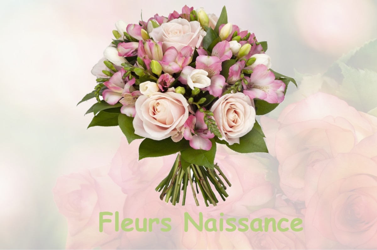 fleurs naissance ABLAIN-SAINT-NAZAIRE